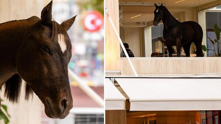 Bu “kahve” çok konuşulur Espressolab’ın animatronik kahvesi