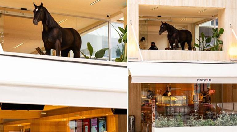 Bu “kahve” çok konuşulur Espressolab’ın animatronik kahvesi