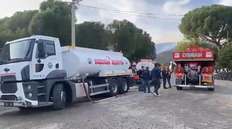 Aydında ziraat alanında çıkan yangın ormana sıçradı