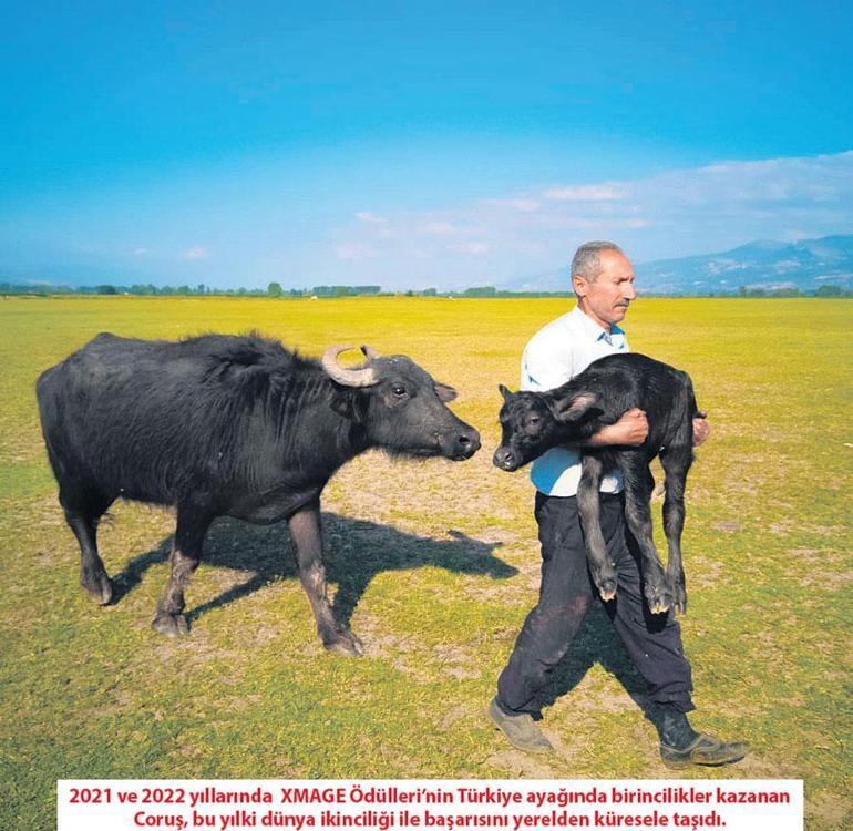 Cepteki hikayeler dünyayı geziyor