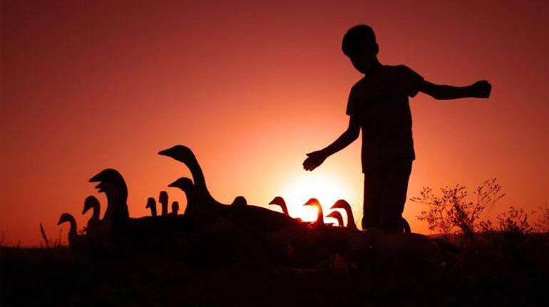 Cepteki hikayeler dünyayı geziyor