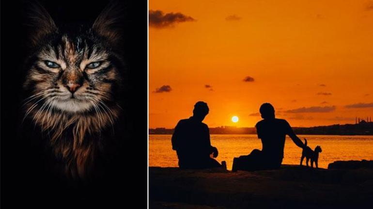 Cepteki hikayeler dünyayı geziyor