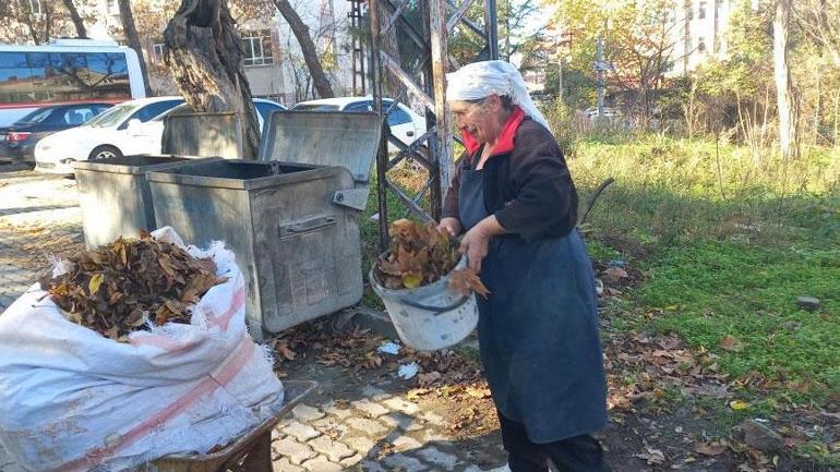 70 yaşındaki kadının 34 yıllık sırrı: Düşen yaprakları 60 santim derine gömüyor: Bazen düşünmekten uyuyamıyorum