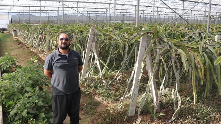 20 dönüm alanda üretime başladı, devletten destek aldı: İçinde kimyasal yok, besin değeri çok yüksek