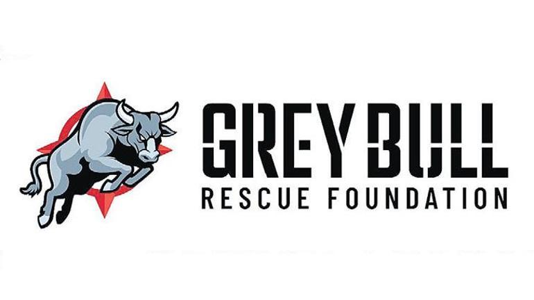 Altın Dinamit operasyonu ve sorular