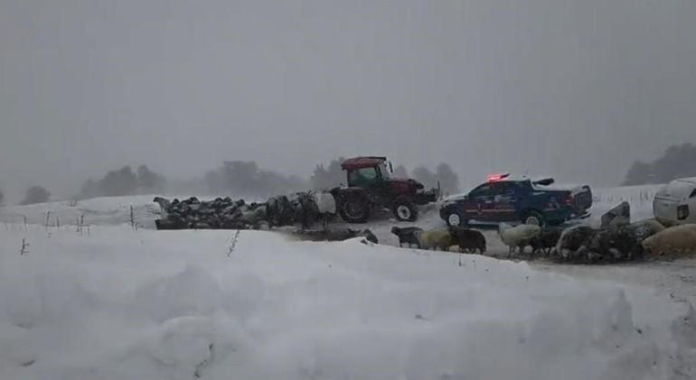 Artvin’de çığ felaketi! Acı haber geldi: 1 kişinin cansız bedenine ulaşıldı, iki kişi aranıyor -
                      1. Resim