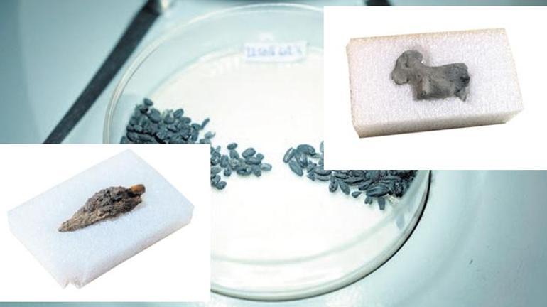 Konya Ovası’nda 5 bin yıllık bir kent: Türkmen-Karahöyük