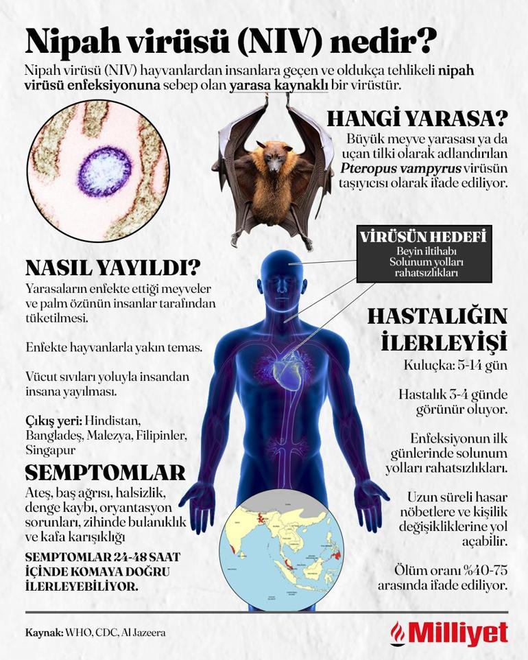 Covidden 5 kat daha güçlü Nipah virüsü nereden çıktı, pandemiye dönüşür mü