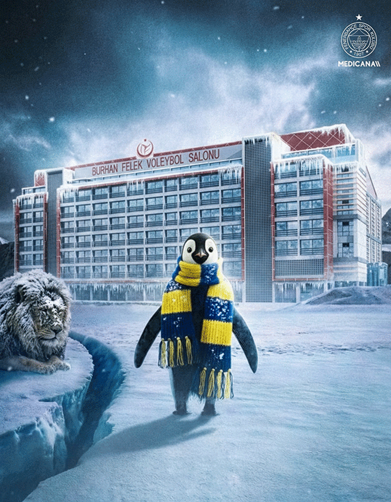 Fenerbahçeden Galatasaray galibiyeti sonrası Arina Fedorovtseva ve penguenli gönderme: Kimse görmeden