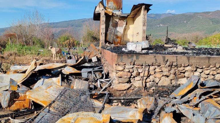 Emekli polis tabancası uğruna can verdi