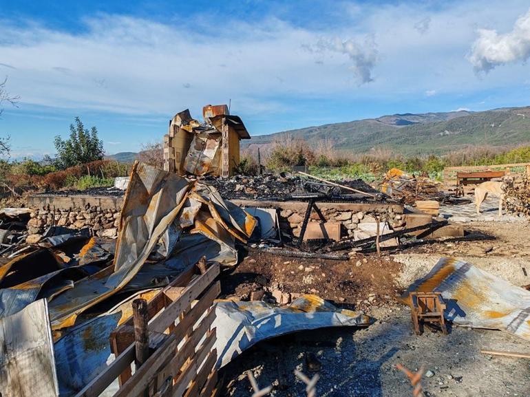 Emekli polis tabancası uğruna can verdi