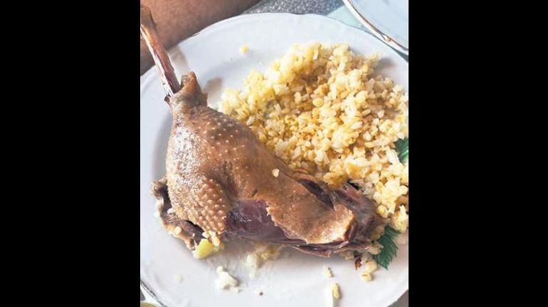 Bir kış masalı Kar, buz, kaz...