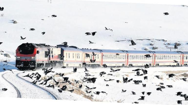 Bir kış masalı Kar, buz, kaz...