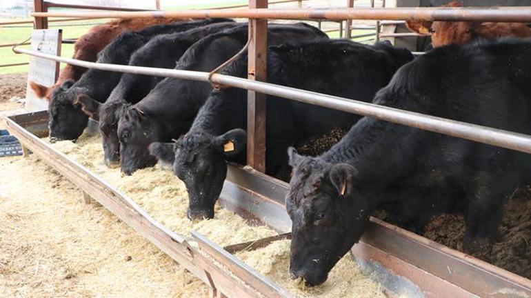 Kilisli üretici devlet desteğiyle işini büyüttü: Mantıklı bir proje olduğunu düşündüm