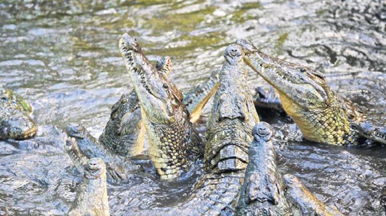 Ara hâl ve zamanda düşünmeye davet