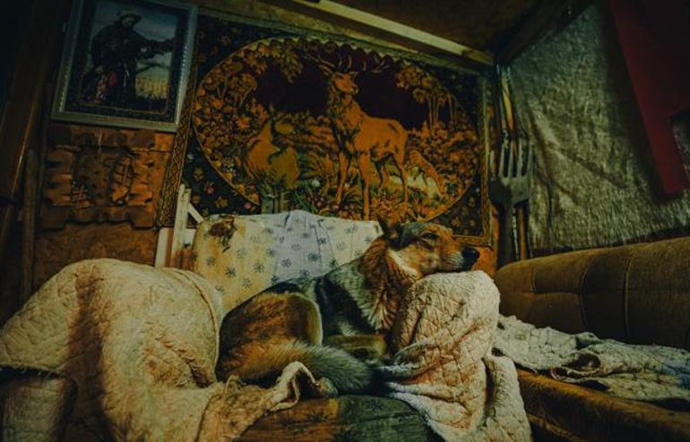 Kurgu değil gerçek Sivas dağlarında bir Kurt Adam: Eksi 30da ne elektrik ne su var