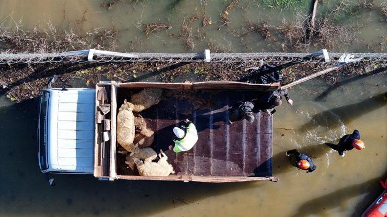 Edirne’de taşkın tehlikesi büyüyor Meriç Nehri kırmızı alarmda, Tunca kent merkezinde yükseliyor