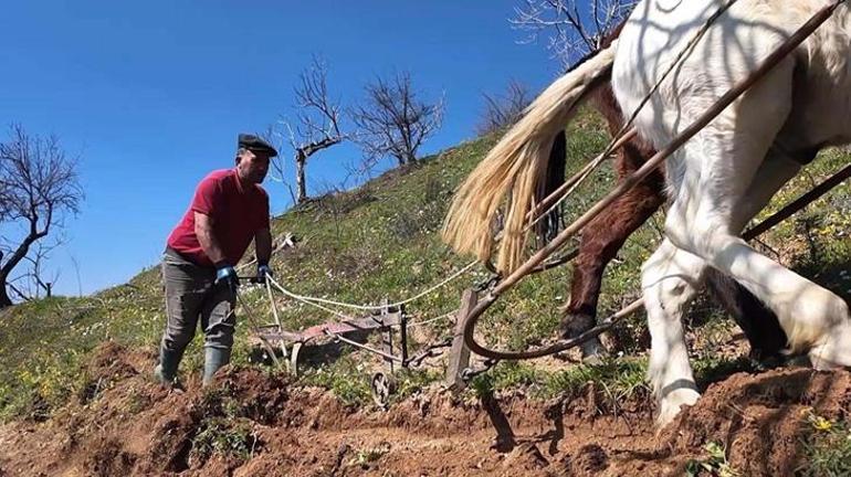 Günlük 8 bin TLye çalışacak eleman yok: 20 yıl içerisinde bu iş tamamen bitebilir