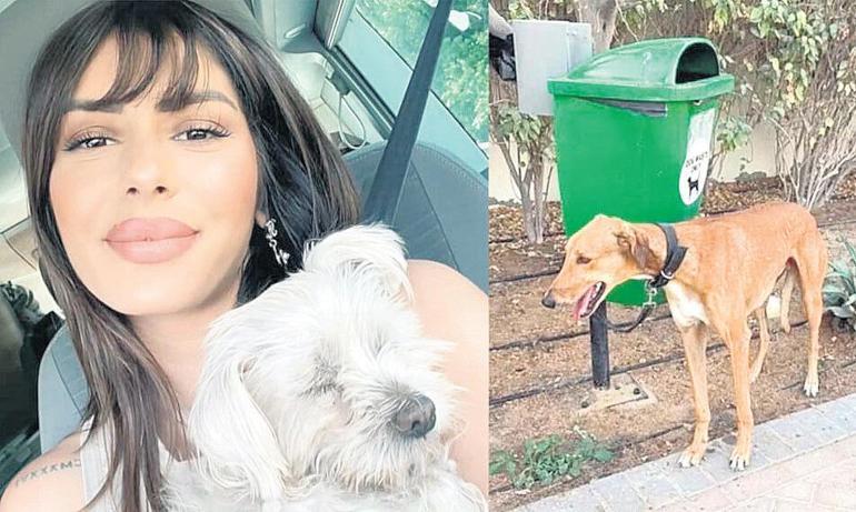 Evcil hayvanları bırakıp kaçtılar