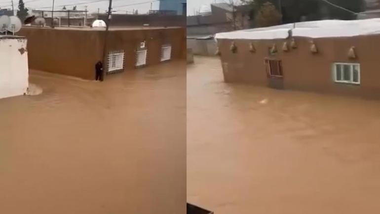 Mardinde şiddetli yağış felakete yol açtı Araçlar sürüklendi, hayvanlar telef oldu