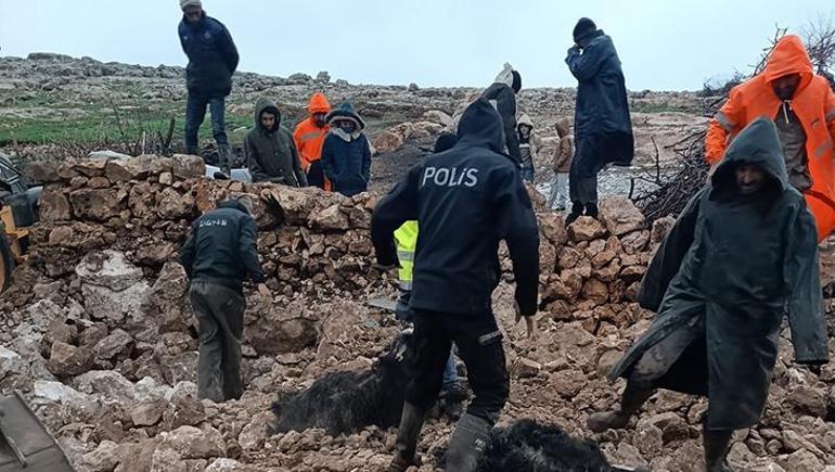 Mardinde şiddetli yağış felakete yol açtı Araçlar sürüklendi, hayvanlar telef oldu