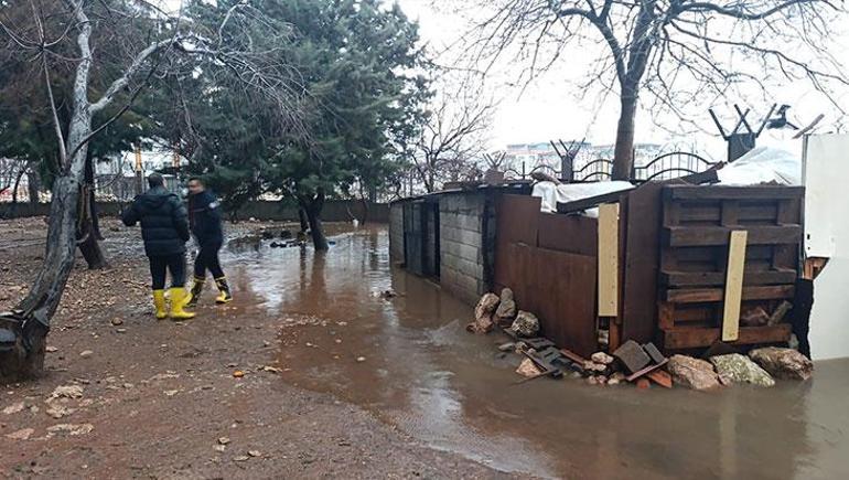 Mardinde şiddetli yağış felakete yol açtı Araçlar sürüklendi, hayvanlar telef oldu
