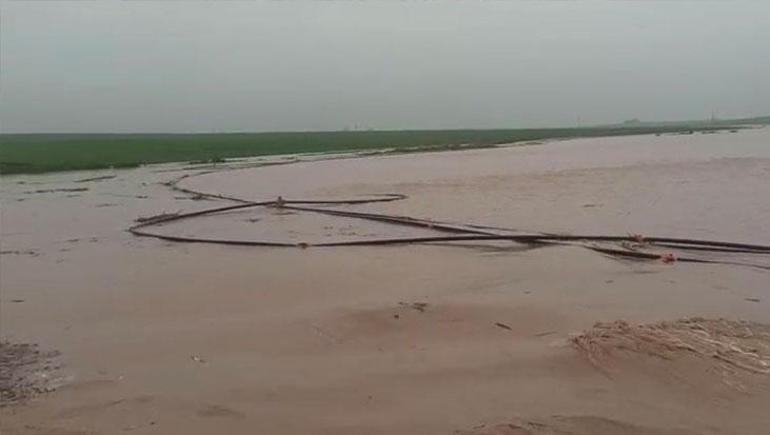 Mardinde şiddetli yağış felakete yol açtı Araçlar sürüklendi, hayvanlar telef oldu