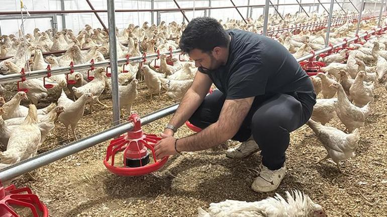 Otomobilini satıp hayali olan tavuk çiftliğini kurdu