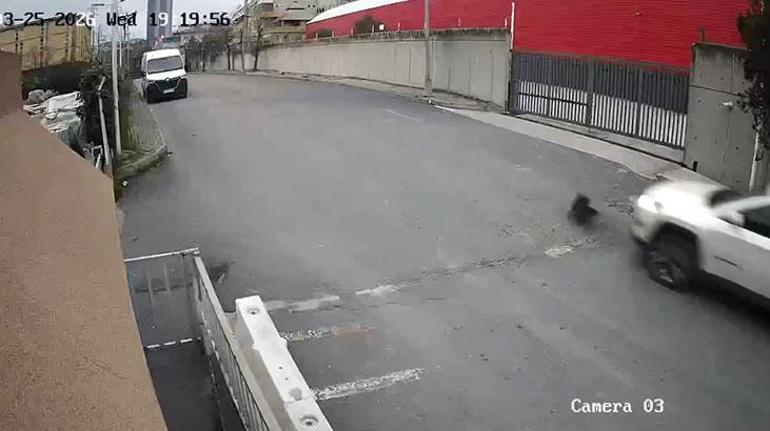 Avcılar'da bir sürücü köpeği ezdi, yoluna devam etti