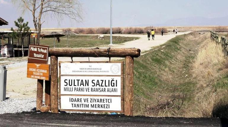 Kayseri’de flamingo şöleni: Hürmetçi ve Sultan Sazlığı’nda binlerce kuş görüntülendi