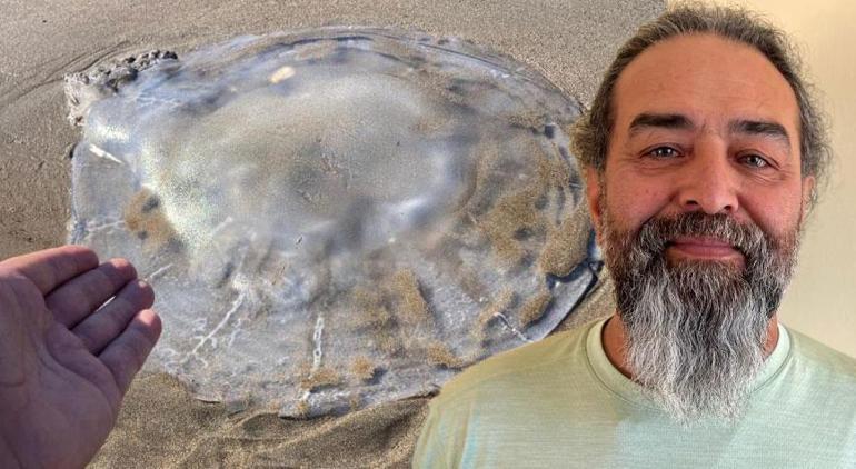 Bir kentte daha! Sahil şeridini istila ettiler: ‘Ciddi alerjik reaksiyonlara neden olabilir’