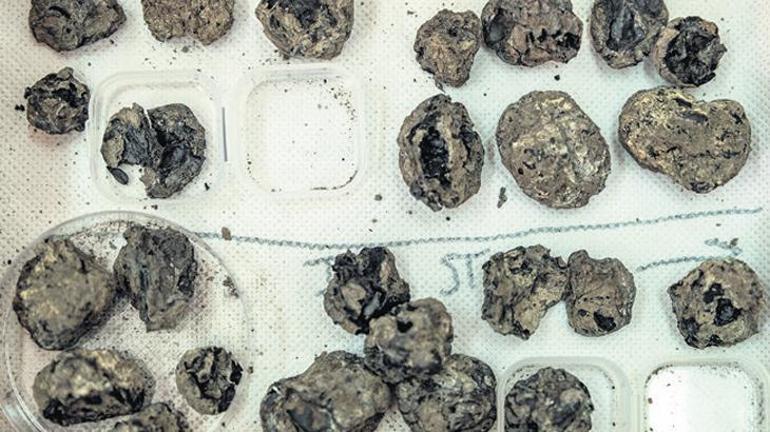 Pompeii’de yaşamın peşinde…