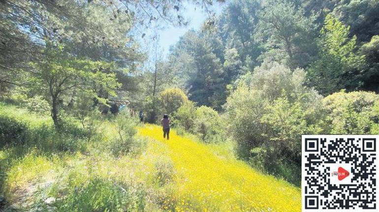 İzmir’e yarım saat uzaklıktaki cennet Payamlı Köyü