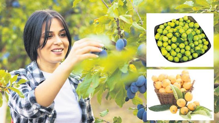 Artık bahar geri kaçmaz