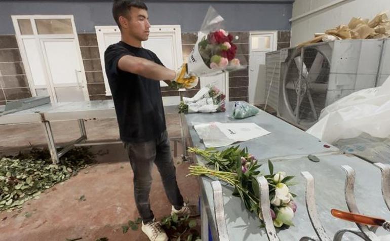 Antalya’da tarladan servete dönüşen çiçek Tanesi 150 TL’ye satılıyor, Türkiye’nin dört bir yanından sipariş yağıyor