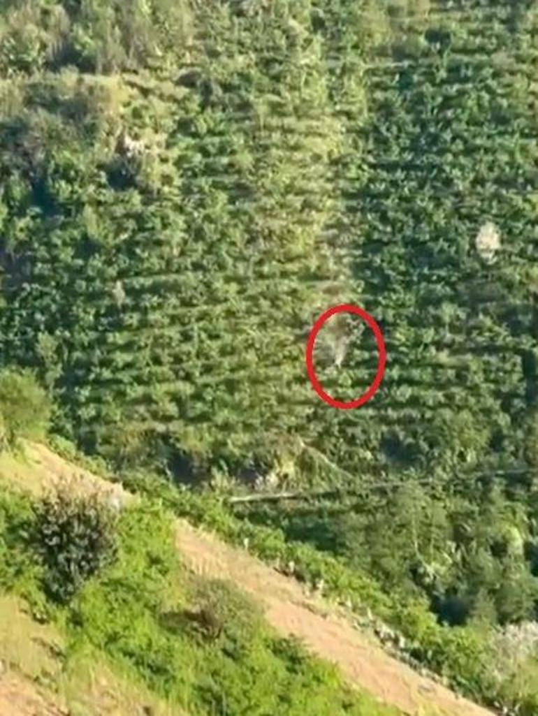 Giresunda korkunç görüntü 400 metre boyunca taklalar atarak yamaçtan yuvarlandı