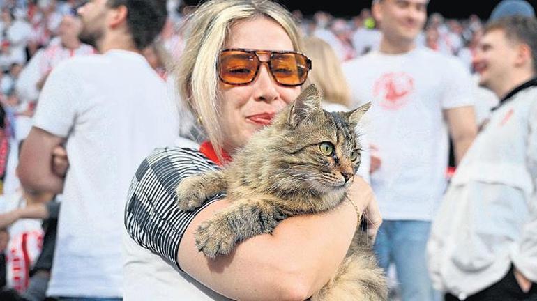 İstanbul ya da yeni adıyla Catstanbul
