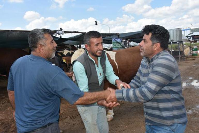 İzmir’de kurban pazarının yıldızı 1 ton 250 kiloluk dev Haso Ağa dudak uçuklatan fiyata satıldı