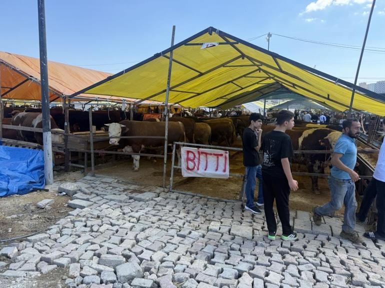 Kurban bayramına saatler kala pazarlarda hareketlilik Çadırlara ‘bitti’ yazısı asıldı