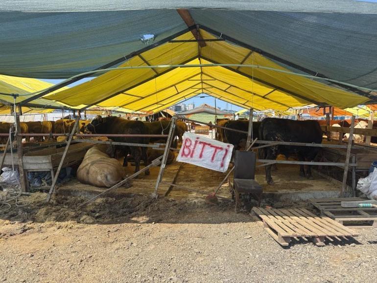 Kurban bayramına saatler kala pazarlarda hareketlilik Çadırlara ‘bitti’ yazısı asıldı