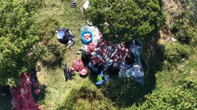 Boş arazilerde kaçak kurban kesenlere ceza yağdı