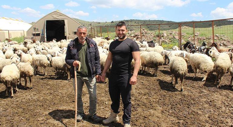 Uzman çavuşluğu bırakıp köye döndü 2 yılda sürüsünü 13 kat büyüttü: Herkes şaşırıyor