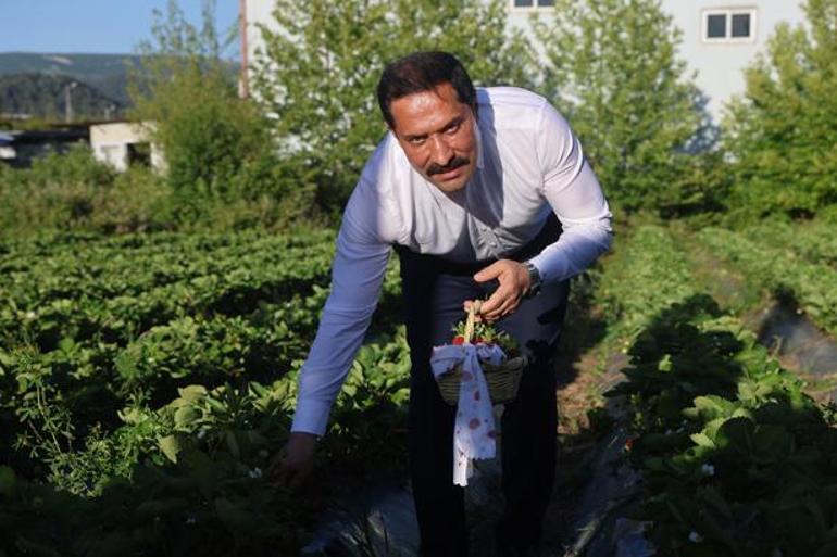 Hasat sezonu umutla başladı Bu lezzetin sırrı sınırdaki bereketli topraklarda: Rekor rekolte beklentisi