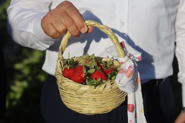 Hasat sezonu umutla başladı Bu lezzetin sırrı sınırdaki bereketli topraklarda: Rekor rekolte beklentisi