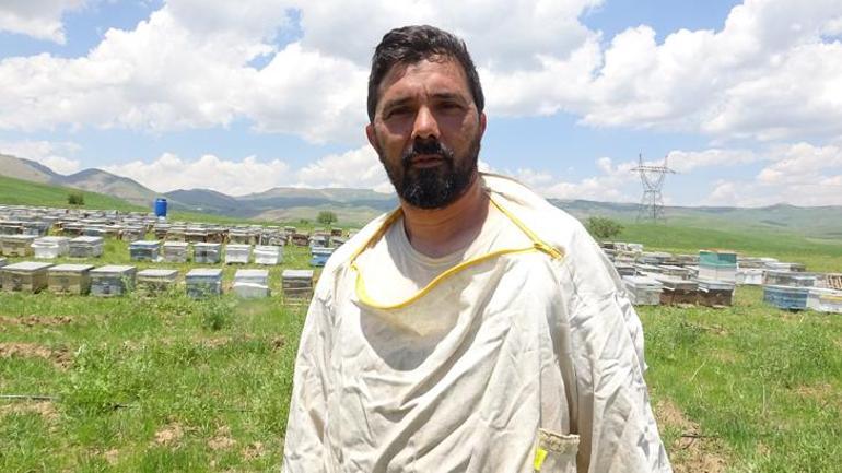 ‘Altın yıl’ ilan edildi Gezgin arıcı 5 tonluk üretim hedefini açıkladı