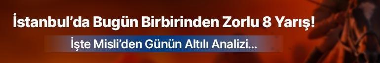 İstanbul’da Bugün Birbirinden Zorlu 8 Yarış  İşte Misli’den Günün Altılı Analizi…
