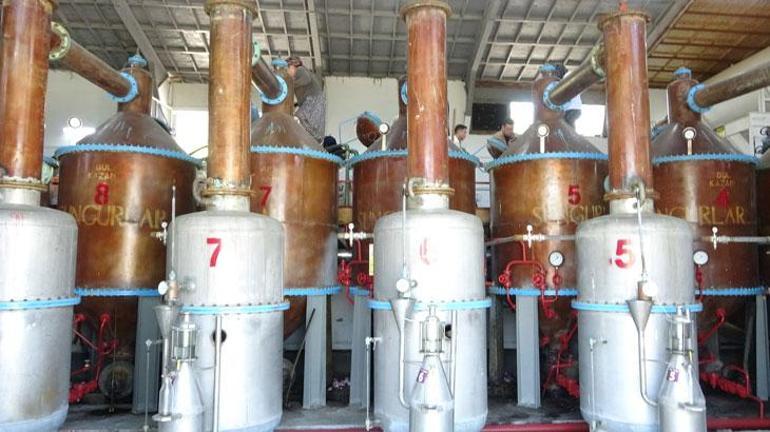 Ispartanın pembe hazinesi: 4 ton gülden elde edilen yağın kilosu 640 bin liraya satışa çıkarıldı