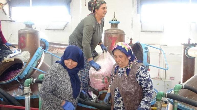 Ispartanın pembe hazinesi: 4 ton gülden elde edilen yağın kilosu 640 bin liraya satışa çıkarıldı