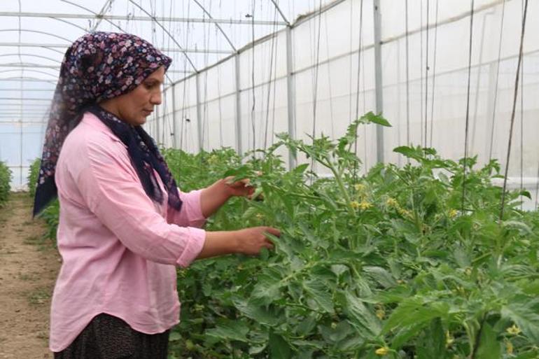 Kimse inanmadı, kadınların azmi başardı Çorak topraklar servet üreten bahçelere dönüştü