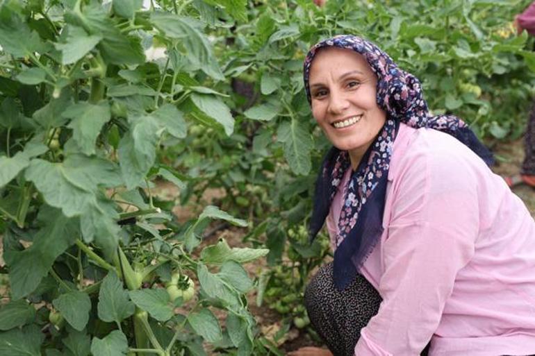 Kimse inanmadı, kadınların azmi başardı Çorak topraklar servet üreten bahçelere dönüştü